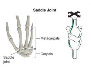 Saddle Joint Location